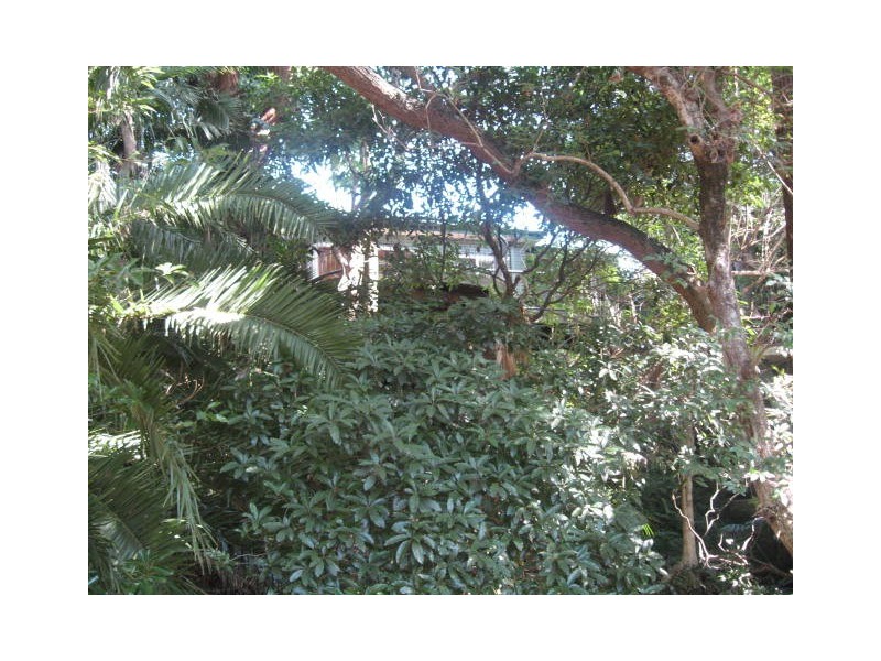 44 Balfour Road, Austinmer NSW 2515