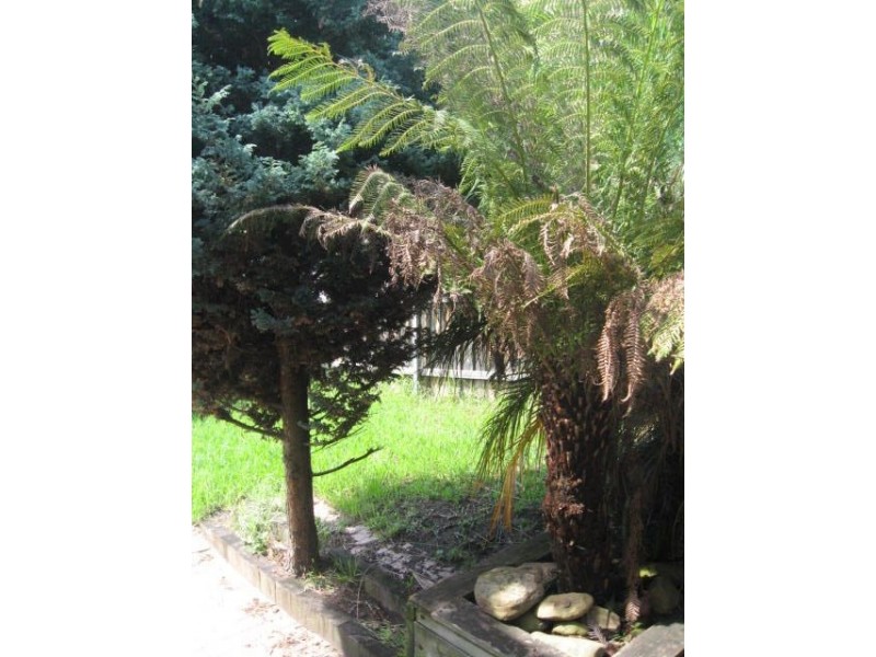 58 Gray Street, Woonona NSW 2517