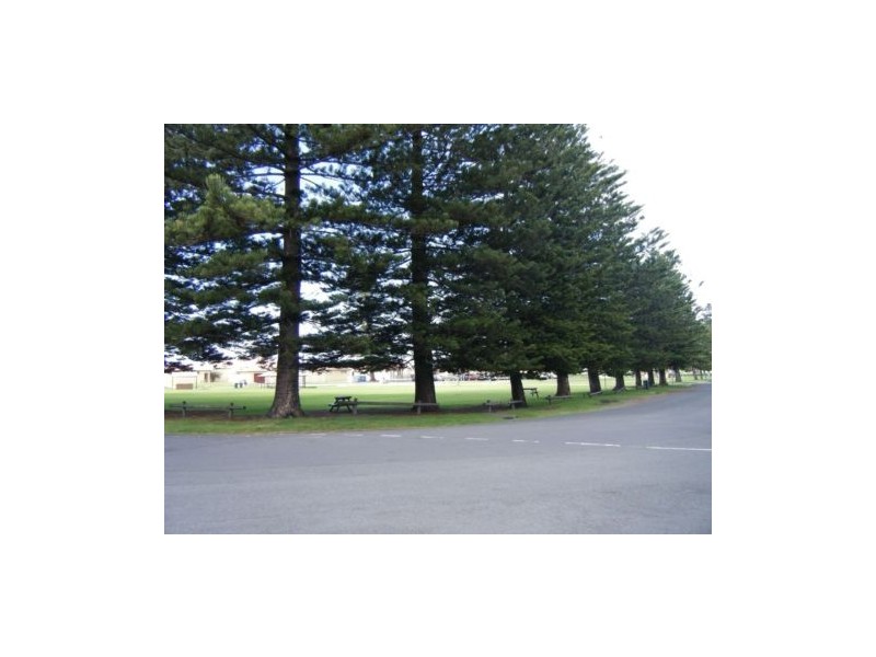 3/31 The Esplanade, Thirroul NSW 2515