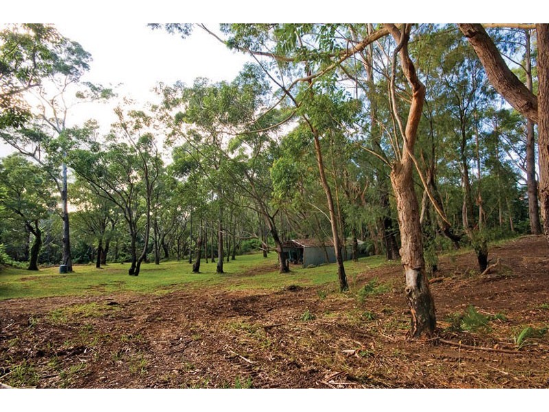 99 Buttenshaw Drive, Austinmer NSW 2515