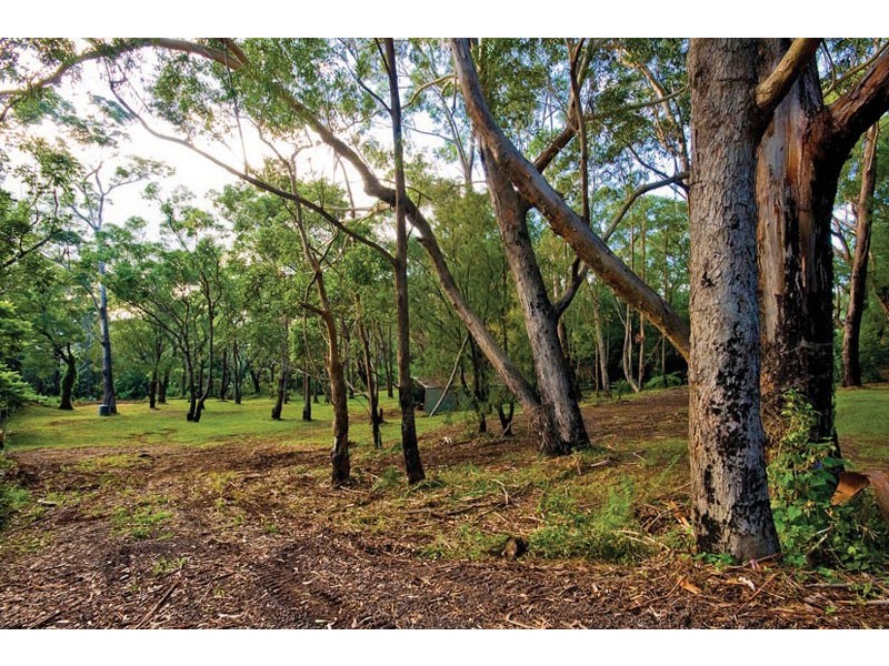 99 Buttenshaw Drive, Austinmer NSW 2515