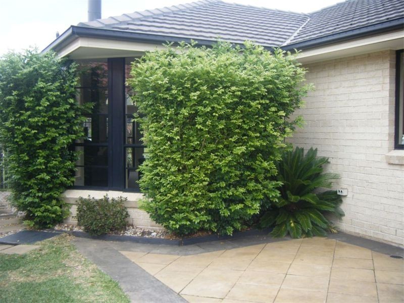 12 Wattle Road, Woonona NSW 2517