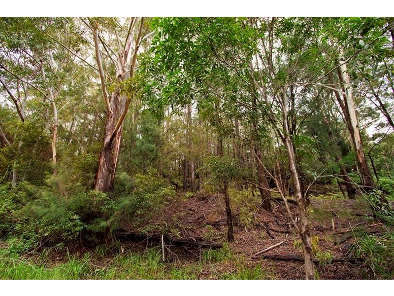 26 Highland Parade, Bulli NSW 2516