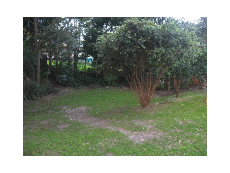 45 Squires Crescent, Coledale NSW 2515