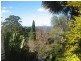 42 Buttenshaw Drive, Coledale NSW 2515