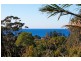 4 Coast Street, Thirroul NSW 2515
