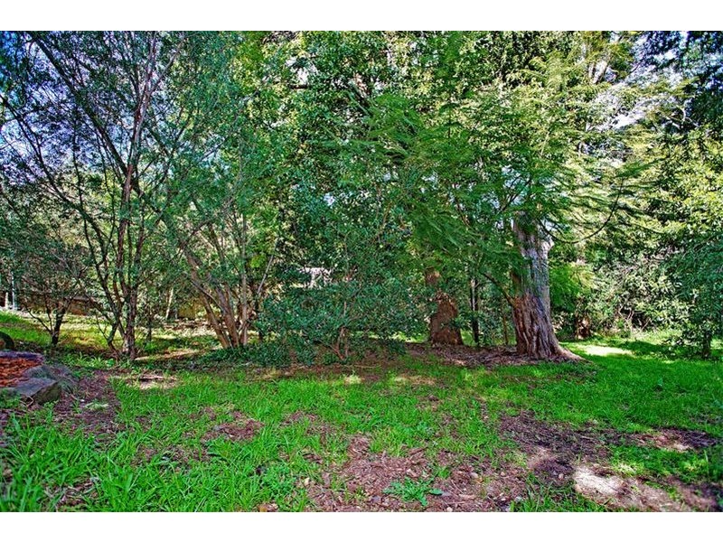 41 George Avenue, Bulli NSW 2516