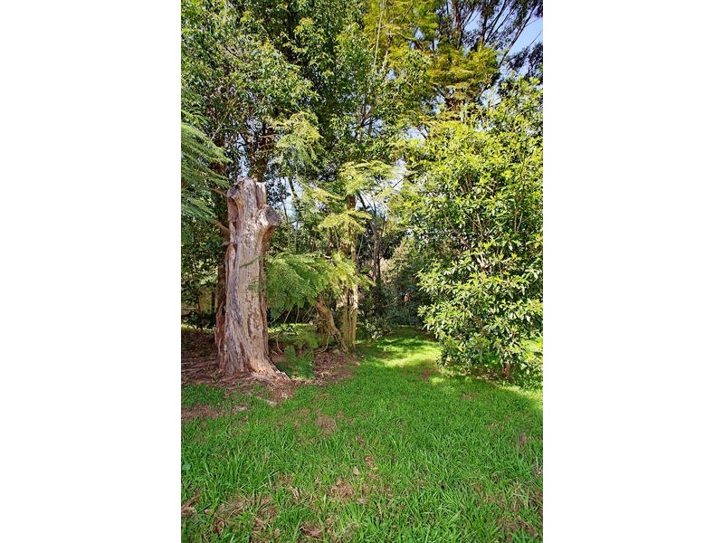 41 George Avenue, Bulli NSW 2516