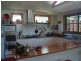 31 Buttenshaw Drive, Coledale NSW 2515
