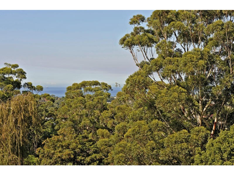 82 Princes Highway, Thirroul NSW 2515