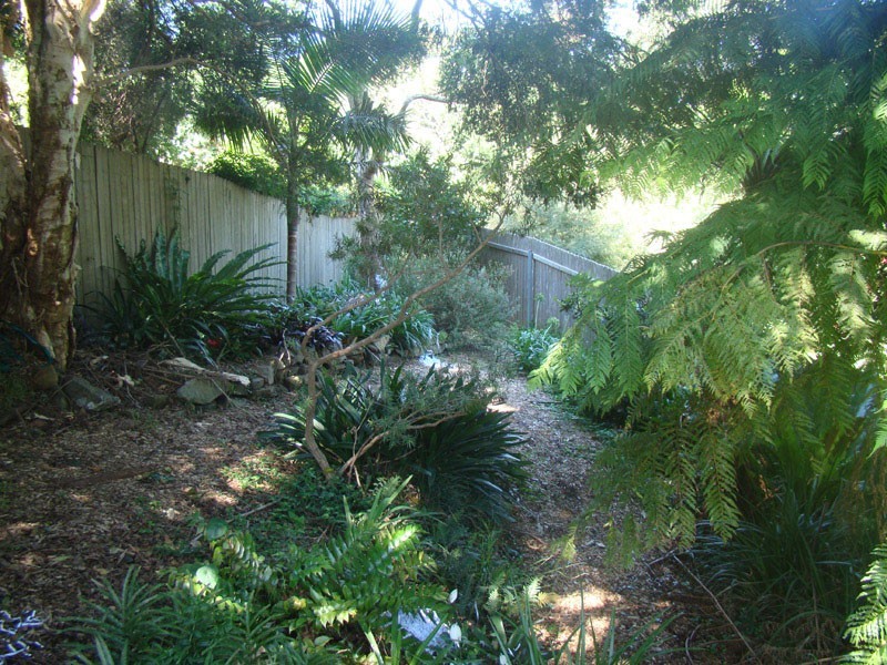 31 Buttenshaw Drive, Coledale NSW 2515