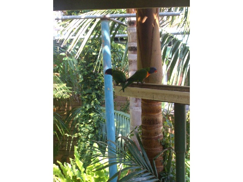 737  Lawrence Hargrave Drive, Coledale NSW 2515