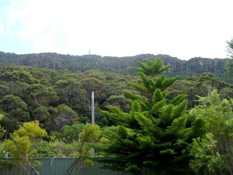 16  Railway Terrace, Scarborough NSW 2515