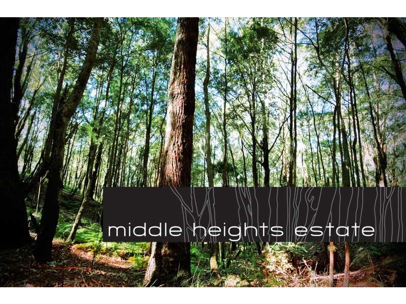 Lot 3  Buttenshaw Drive, Coledale NSW 2515