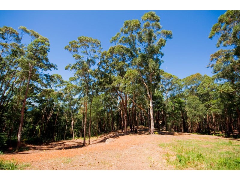 Lot 3  Buttenshaw Drive, Coledale NSW 2515