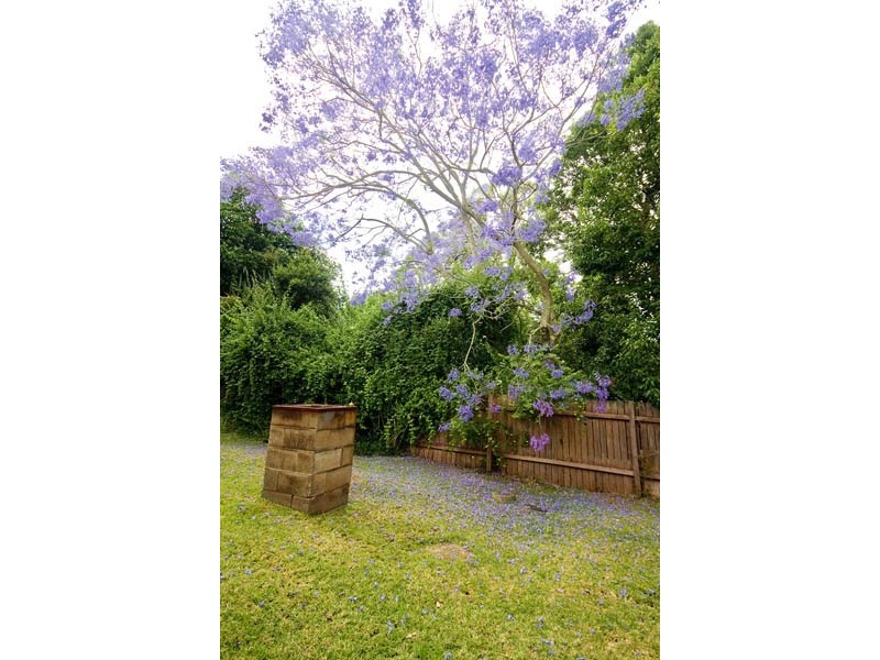 5 Virginia Terrace, Thirroul NSW 2515