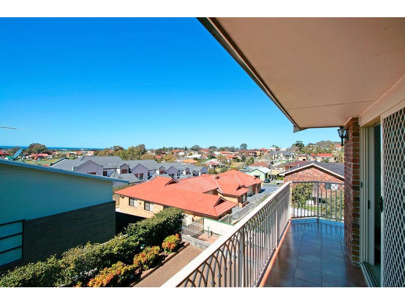 Balgownie NSW 2519