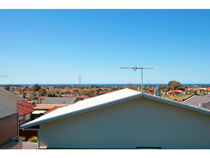 Balgownie NSW 2519