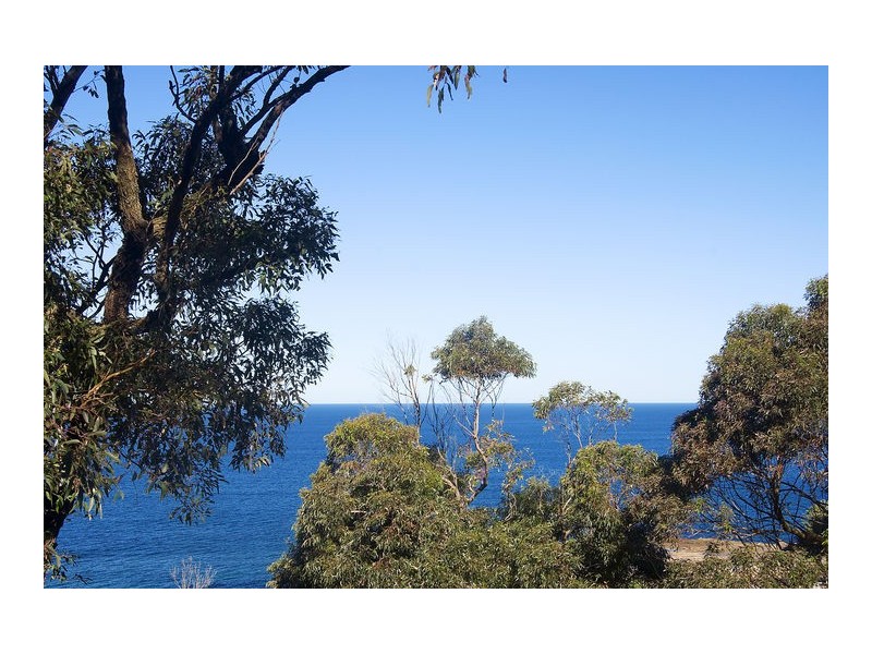 250 Lawrence Hargrave Drive, Coalcliff NSW 2508