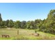 72 Lachlan Street, Thirroul NSW 2515