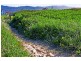 22 Beach Drive, Woonona NSW 2517