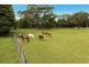 490 Darkes Forest Road, Darkes Forest NSW 2508