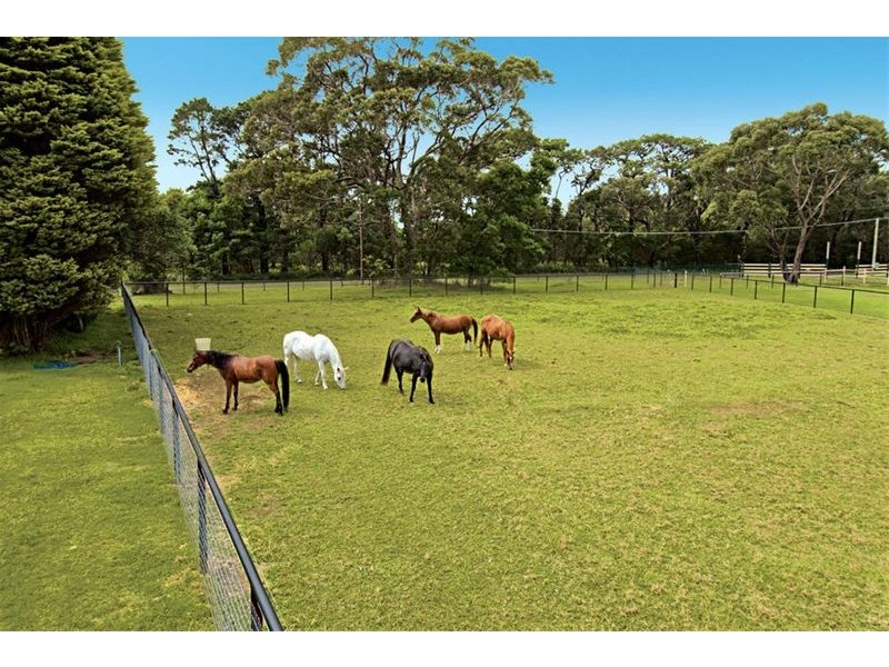 490 Darkes Forest Road, Darkes Forest NSW 2508