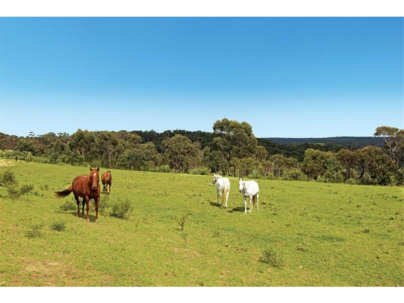 490 Darkes Forest Road, Darkes Forest NSW 2508