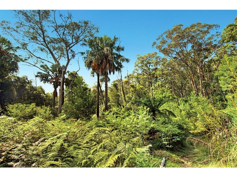 490 Darkes Forest Road, Darkes Forest NSW 2508