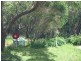 30 Lady Wakehurst Drive, Otford NSW 2508