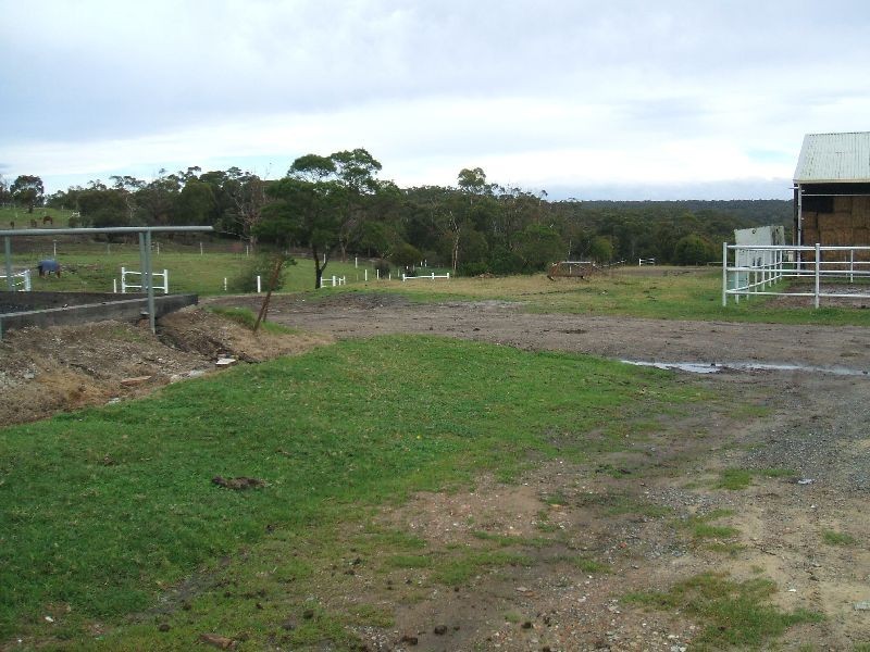 Flat  Darkes Forest Road, Darkes Forest NSW 2508