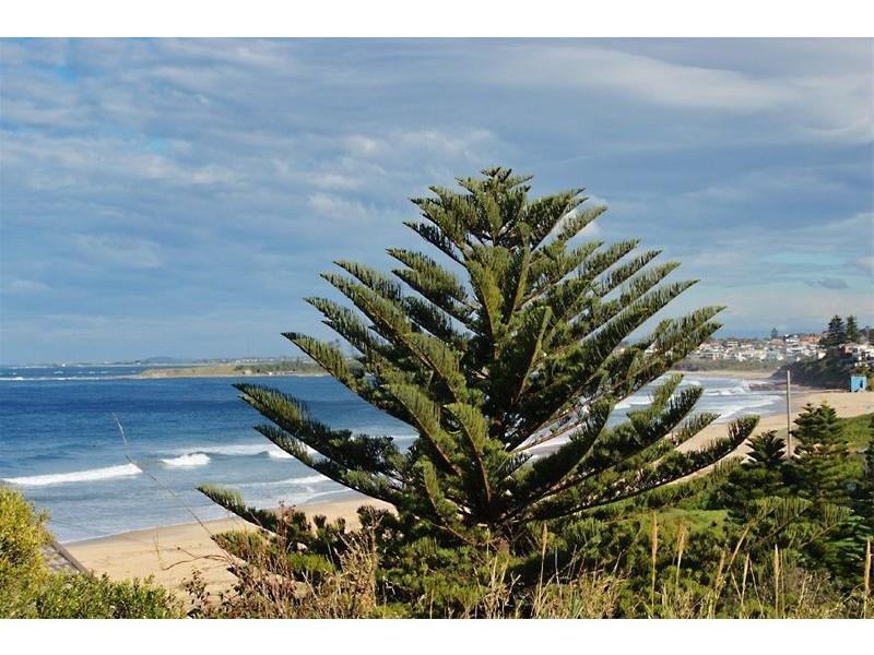 195 Lawrence Hargrave Drive, Thirroul NSW 2515