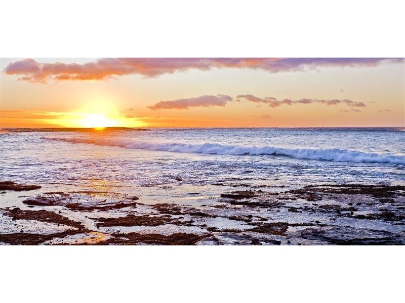 10  Hyde Lane, Coledale NSW 2515