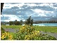 64  Riverview Road, Nowra NSW 2541