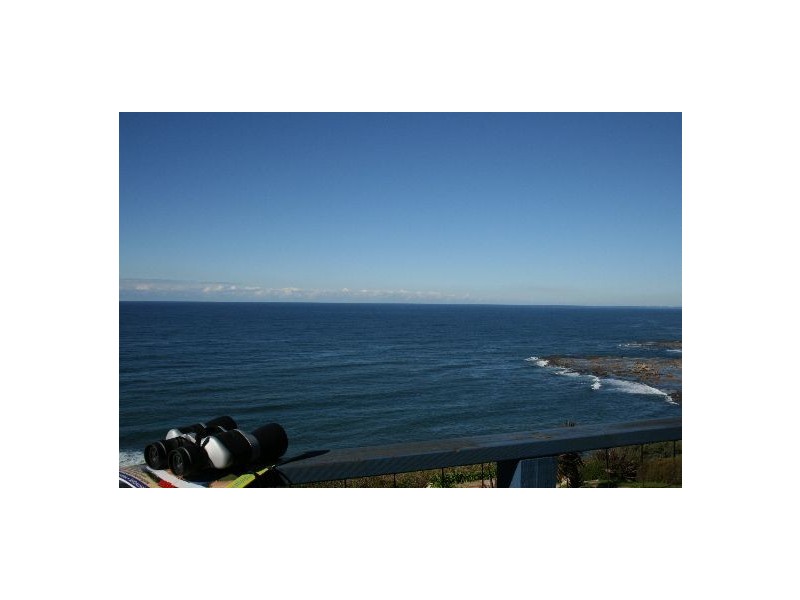 221 Lawrence Hargrave Drive, Coalcliff NSW 2508