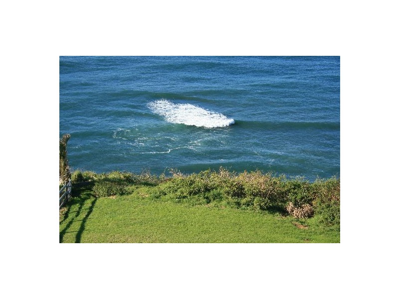 221 Lawrence Hargrave Drive, Coalcliff NSW 2508