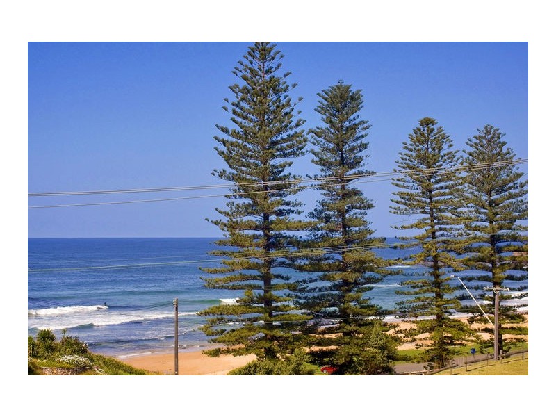 766  Lawrence Hargrave Drive, Coledale NSW 2515