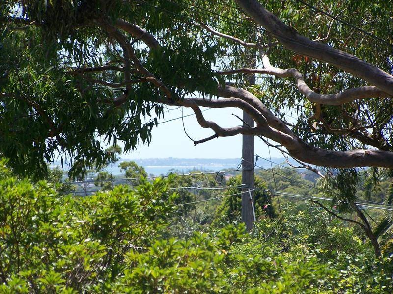 55 Sutherland Road, Jannali NSW 2226