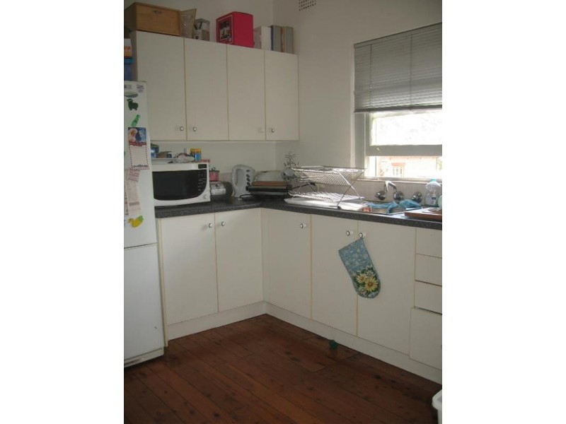 1/3 Schultz Street, Balmain NSW 2041