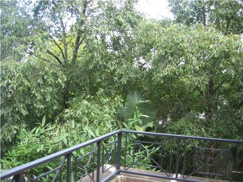 10 Yeend Street, Birchgrove NSW 2041