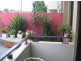 206/1 Phillip Street, Petersham NSW 2049