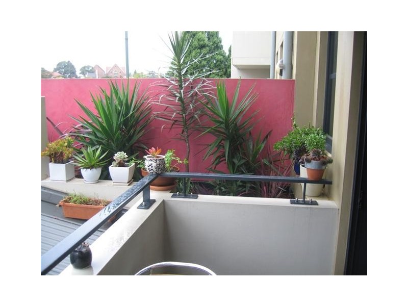 206/1 Phillip Street, Petersham NSW 2049
