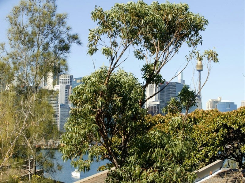 3/14 Hosking Street, Balmain East NSW 2041