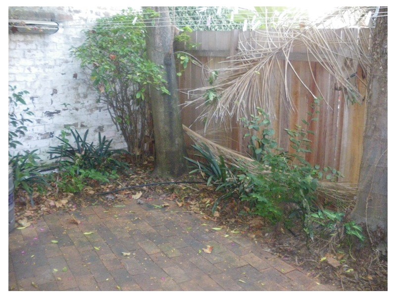 27 Birchgrove Road, Balmain NSW 2041