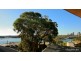 15/2-6 Clifton Street, Balmain East NSW 2041
