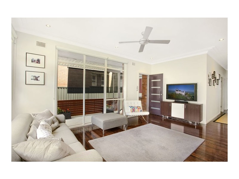 48 Helena Street, Lilyfield NSW 2040