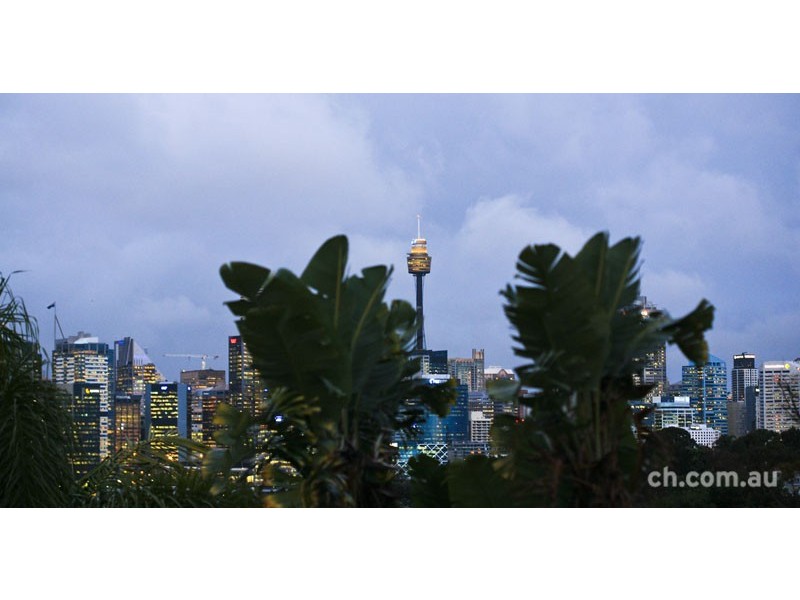 17 Campbell Street, Balmain NSW 2041