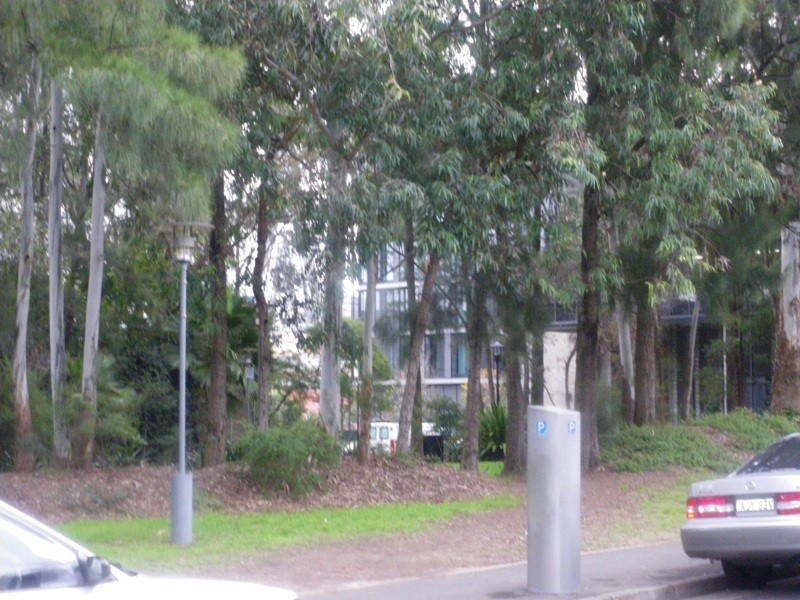 66 Bulwarra Road, Pyrmont NSW 2009