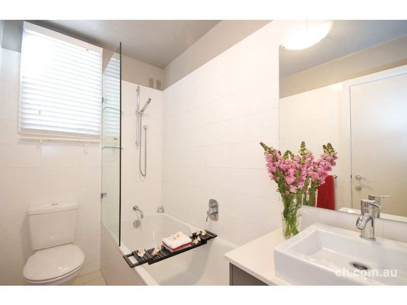 3C Llewellyn Street, Balmain NSW 2041