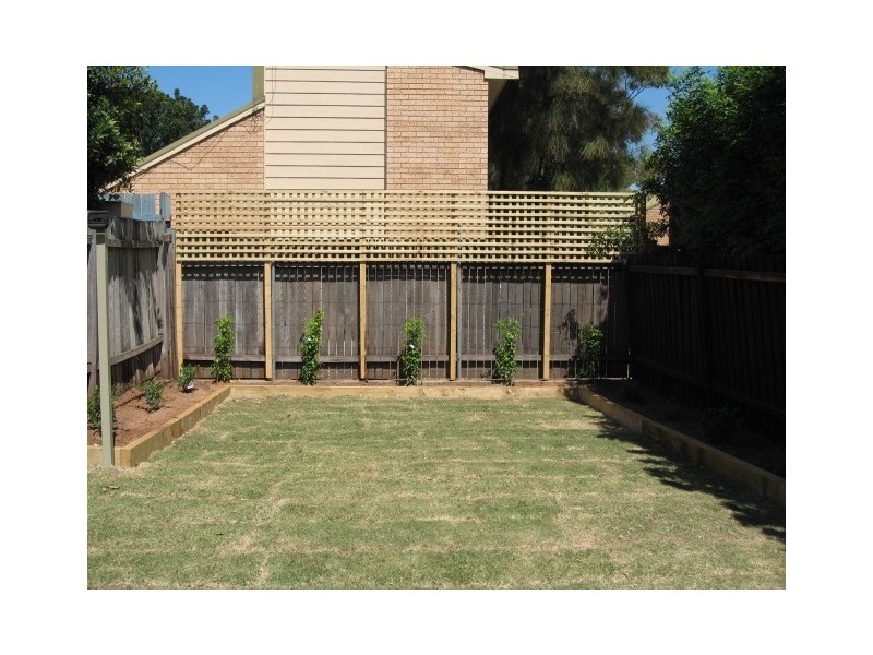 31 Roseberry Street, Balmain NSW 2041